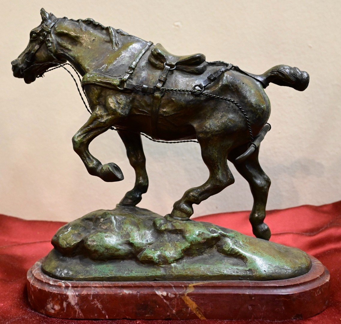 Gustave Colsoulle - Cavallo in Bronzo-photo-1
